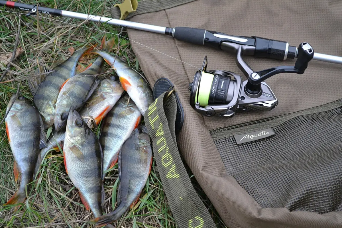 Fishing equipment stored in a TOP SKLAD container